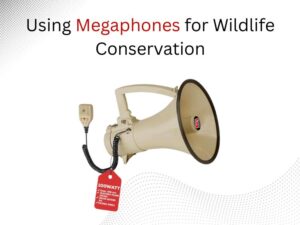 Using Megaphones for Wildlife Conservation