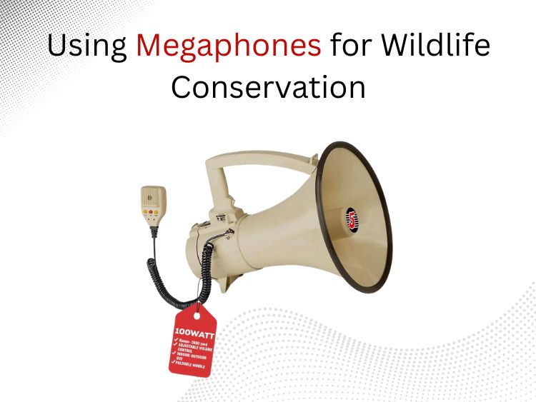 Using Megaphones for Wildlife Conservation