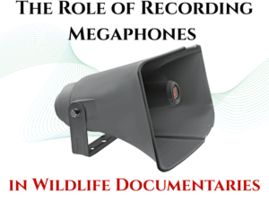 The Role of Recording Megaphones in Wildlife Documentaries