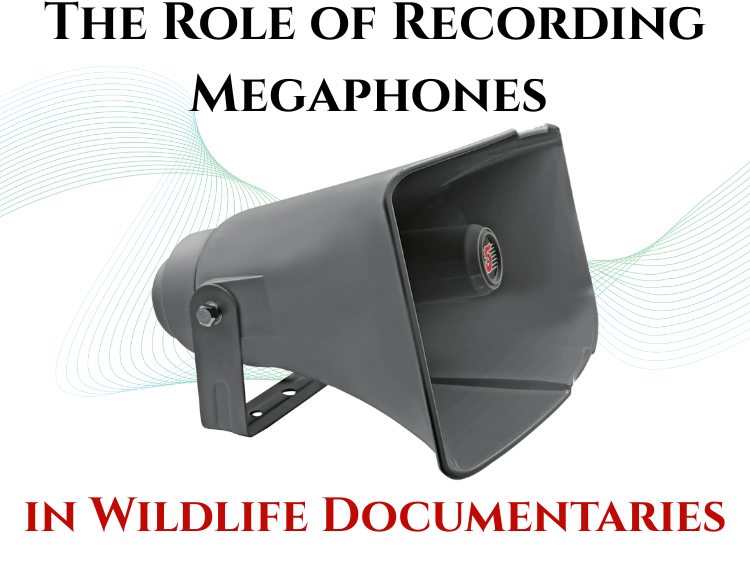 The Role of Recording Megaphones in Wildlife Documentaries